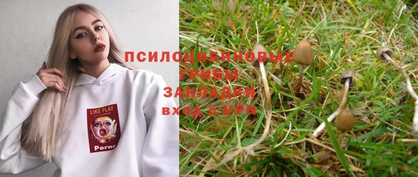 меф Горно-Алтайск